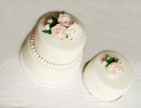 /album/fotogalerie-dorty/p1080236-kopie-jpg/